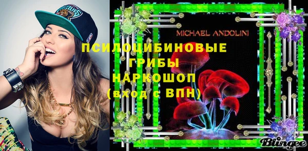 прущая мука Богородицк