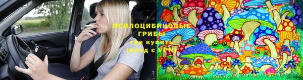 прущая мука Богородицк