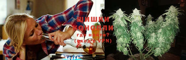 прущая мука Богородицк
