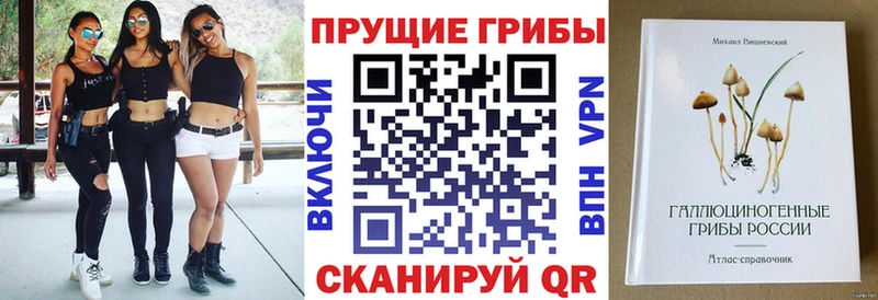 Галлюциногенные грибы GOLDEN TEACHER  Купить  Волоколамск 